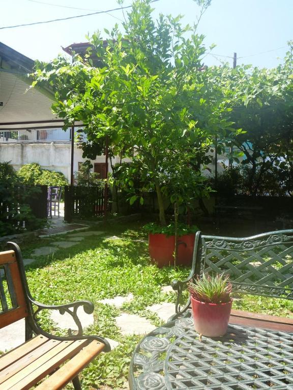 Helena Apartments Paralia Pantaleimonos Buitenkant foto