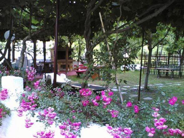 Helena Apartments Paralia Pantaleimonos Buitenkant foto